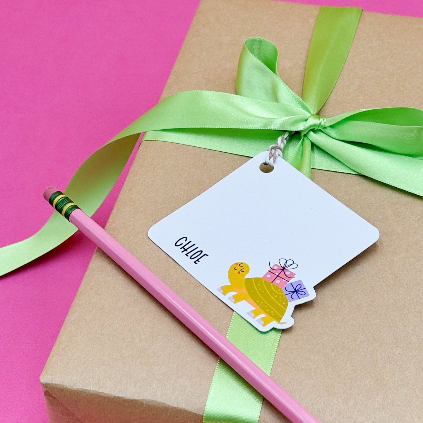 Slow and Steady Turtle Gift Tags (Set of 12 Turtle Party Tags)