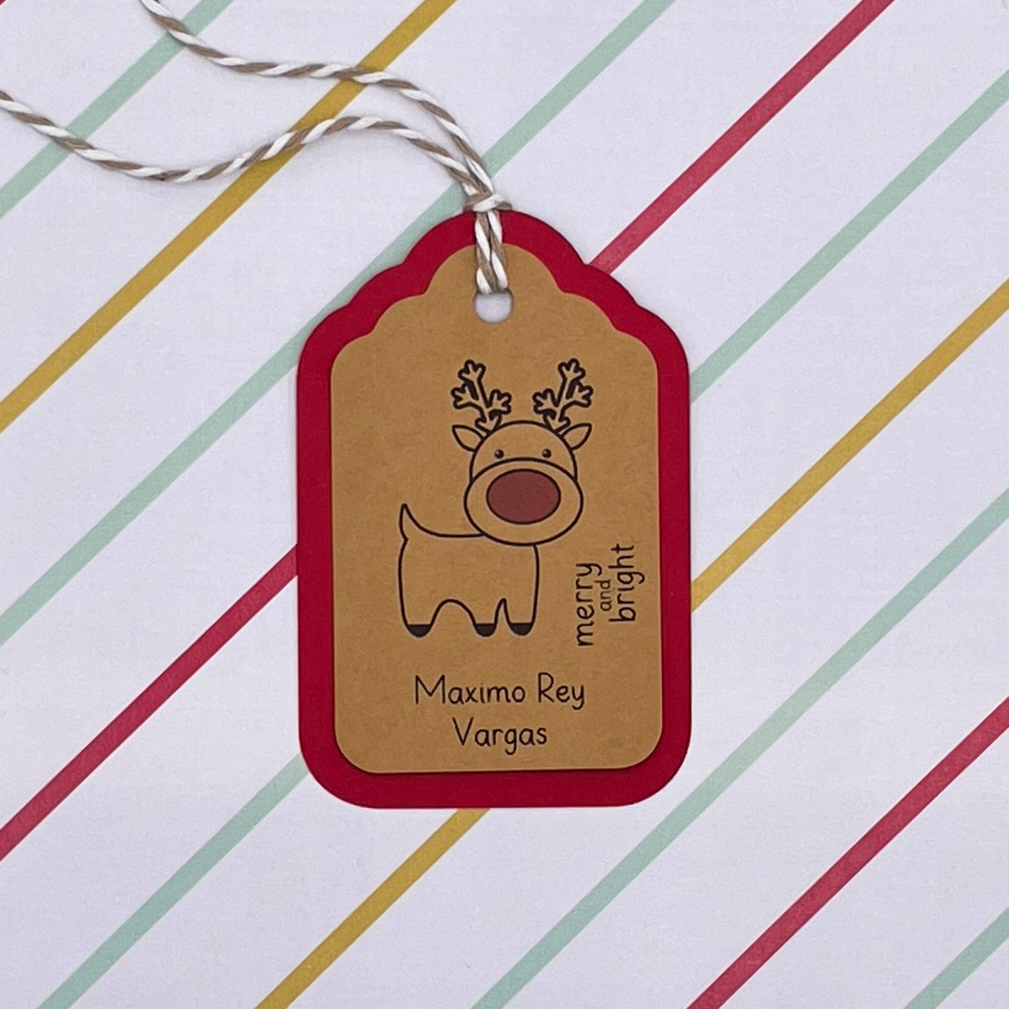 Charming Christmas Reindeer Gift Tags (Set of 16)