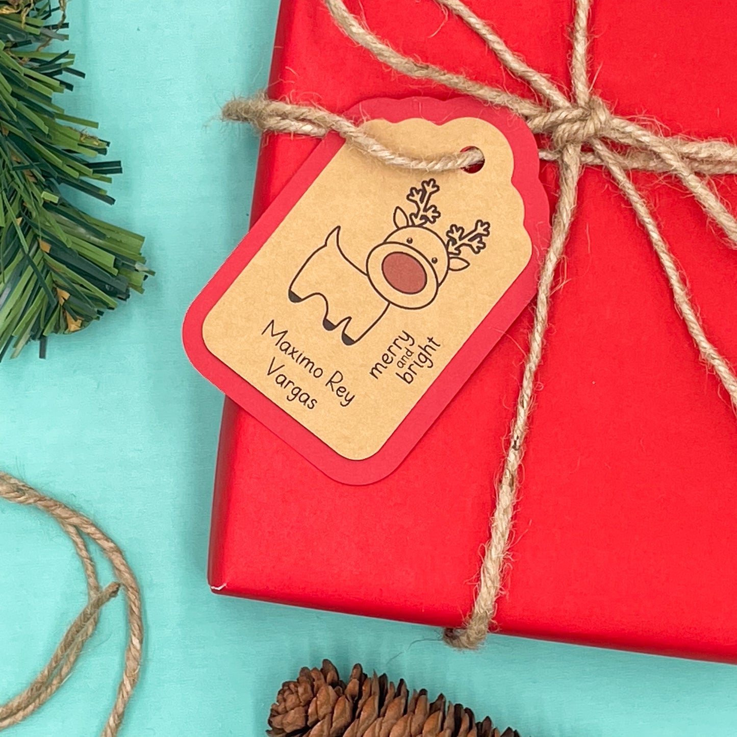 Charming Christmas Reindeer Gift Tags (Set of 16)