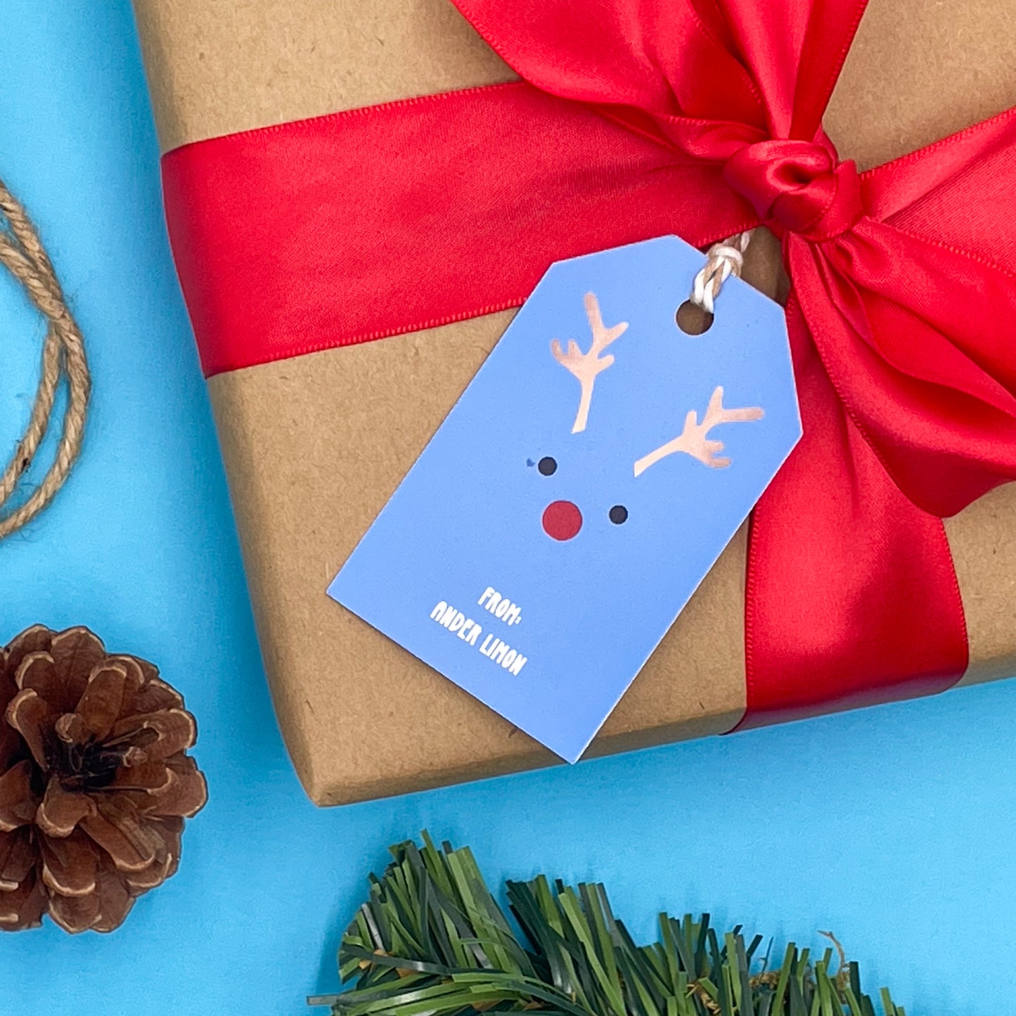 Blue Holiday Gift Tags (Set of 16)