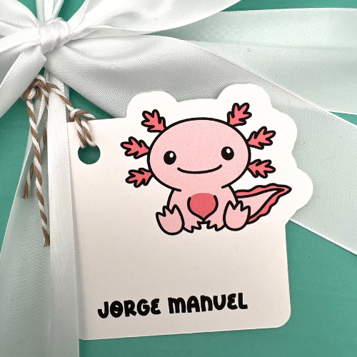 Axolotl Personalized Gift Tag Set of 12 – RemoDesignShop